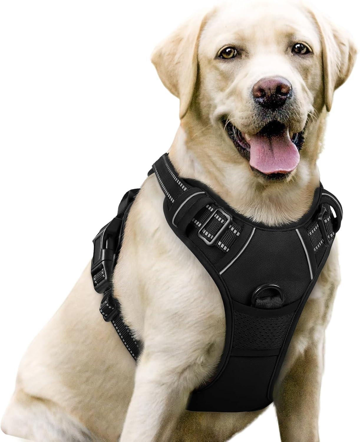 Rabbitgoo Harness (2 Leash Clips) vs. Reflective Vest (Easy Handle): Tested for Walks