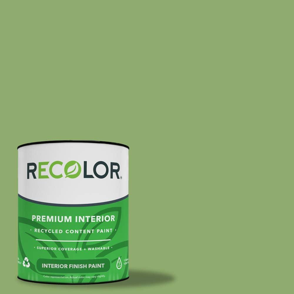 Spring & Safety: Recolor's Eco Paint vs. Standard (Surprising Finish Clash)