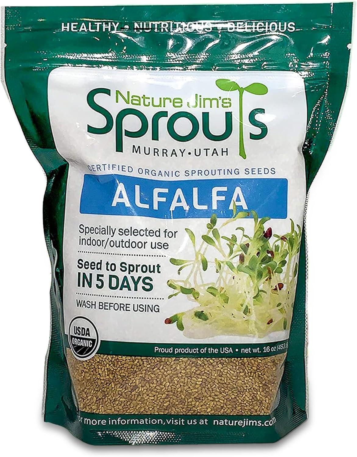 Surprising Growth: Alfalfa vs. Cucumbers Showdown