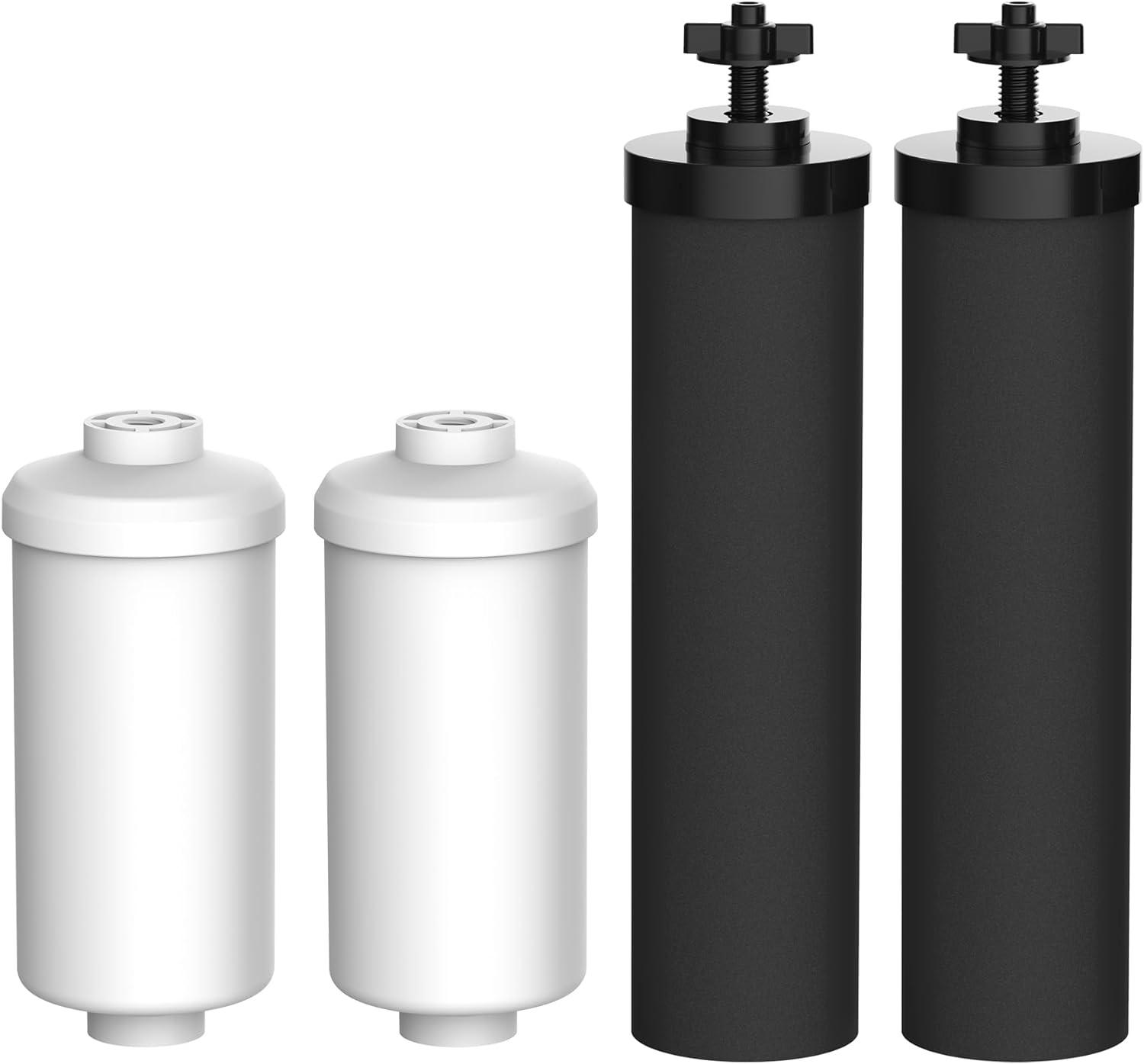 FilterLogic vs Berkey NSF Certified: Surprising Fluoride Remove Showdown... Natural Insights