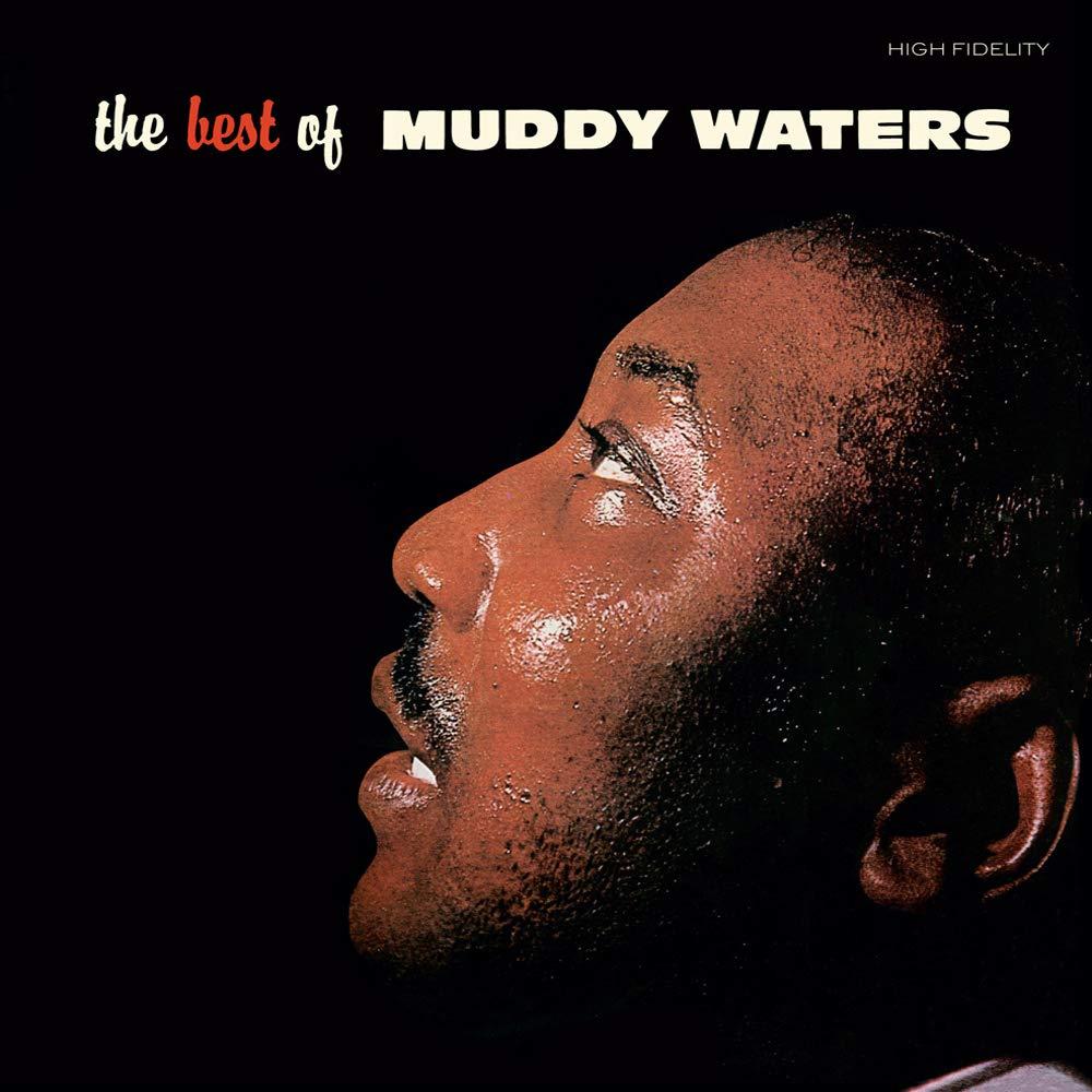 Best Of Muddy Waters: Tested Bonus Tracks vs. Limited Gold… Insight Hidden Here!