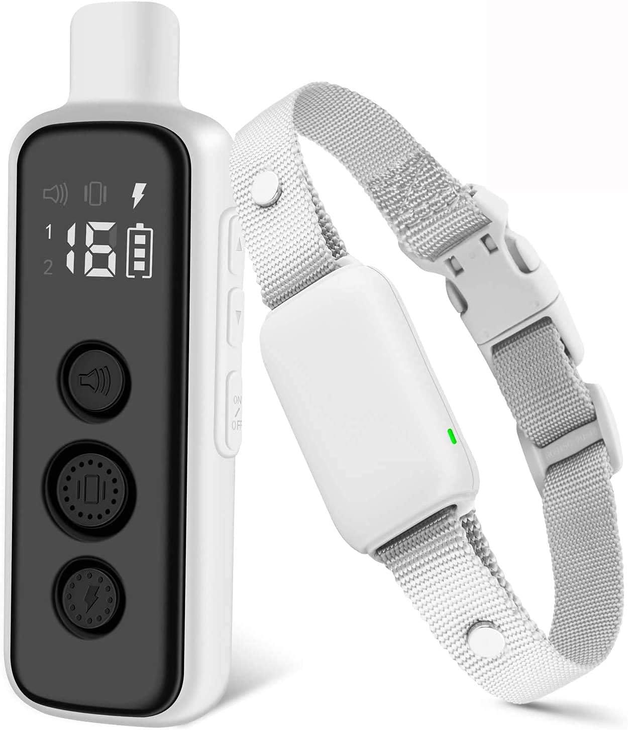 Shock Collar Showdown: Waterproof vs. Shock Testing Insights...for Dogs!
