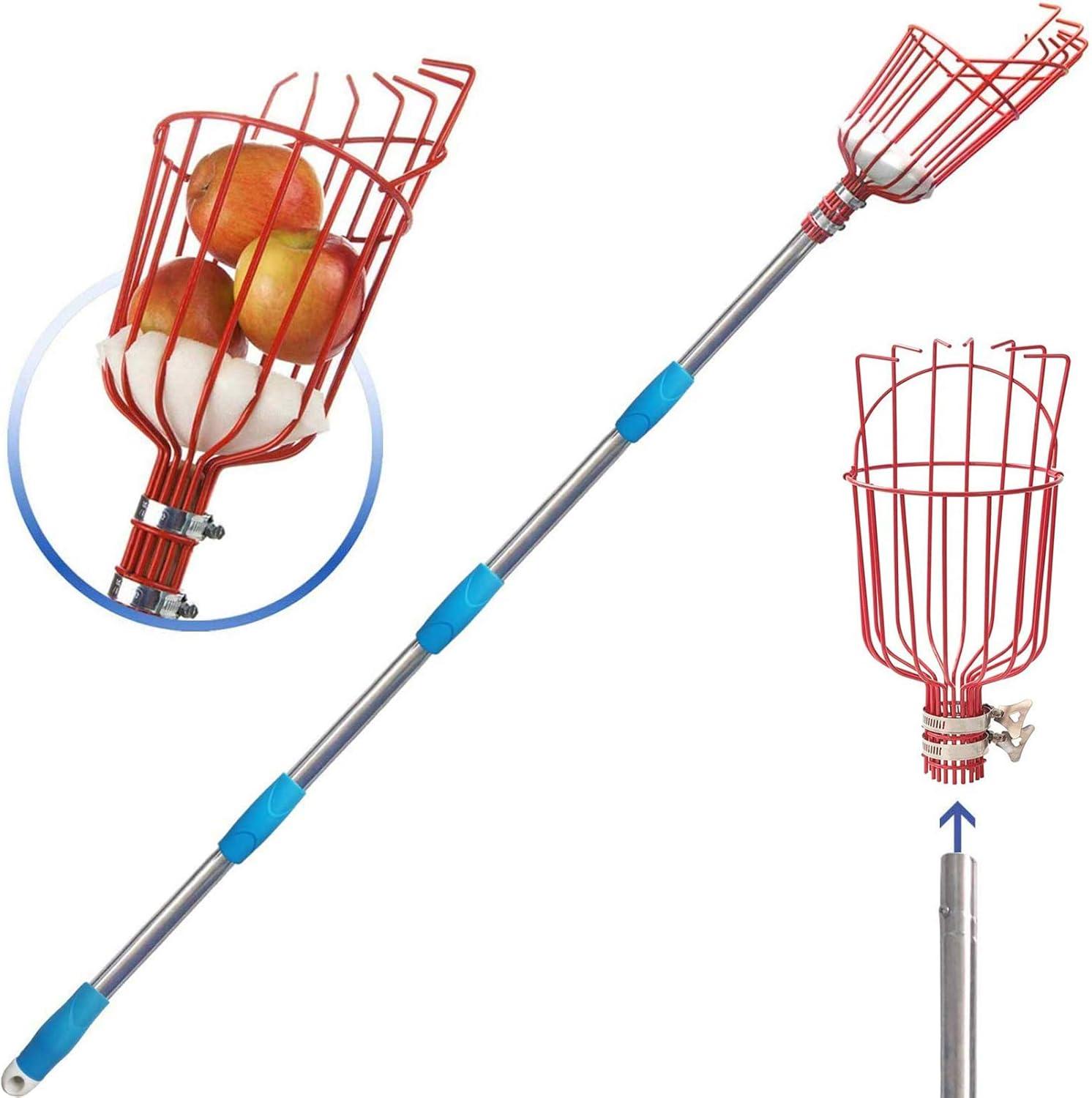 Surprising Height-Adjustable Fruit Picker Versus Traditional… (Elevated Catcher Tested)