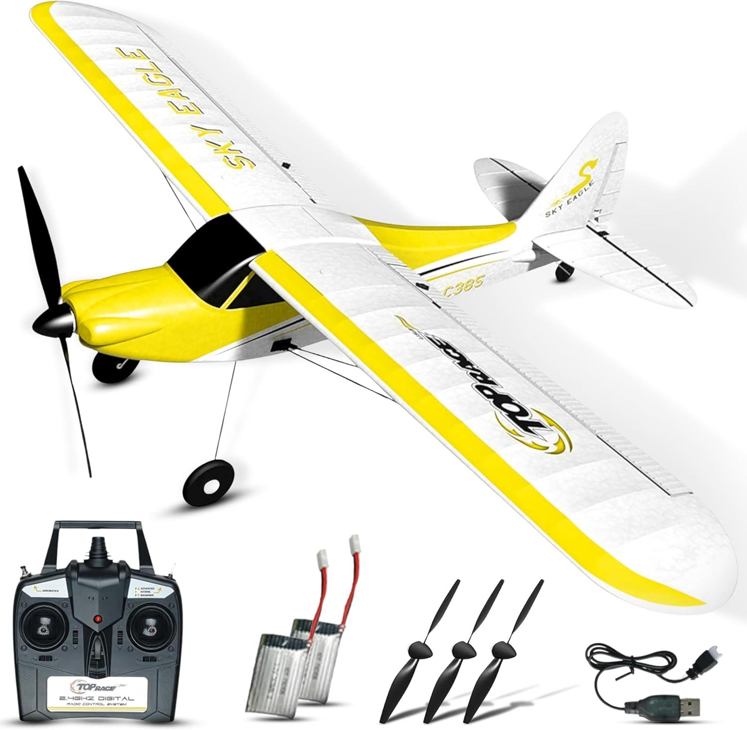 Maneuvers vs. surprising grip tested: RC plane battle - size, timid... ready comparison