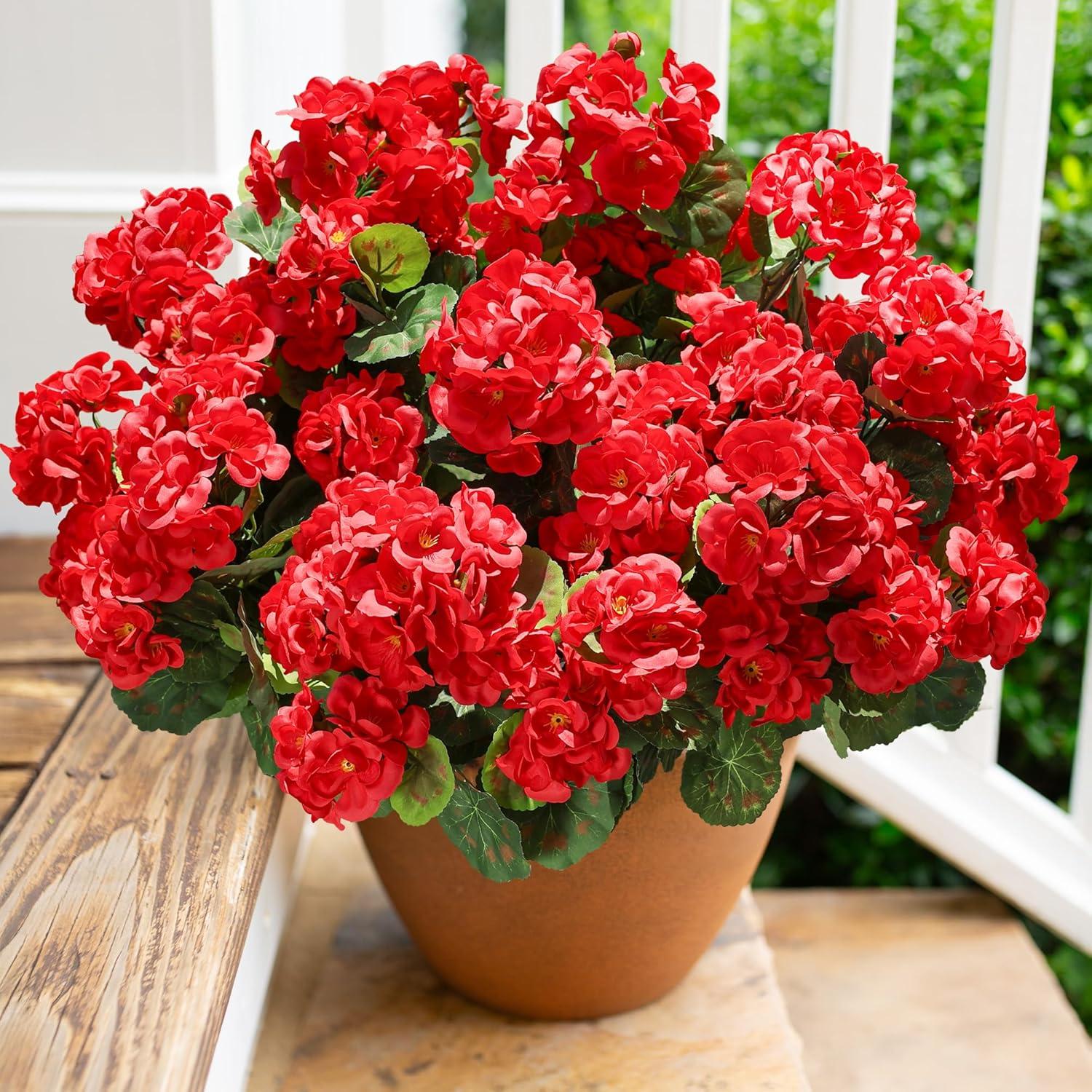 Surprising Low-Maintenance Outdoor Beauty Tested