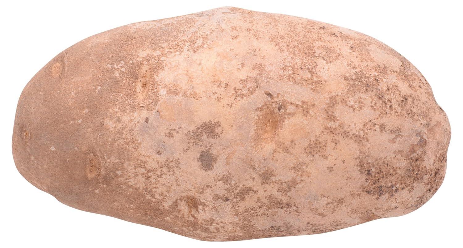 MyLife Potato Bag: Tested Versus Oven Results