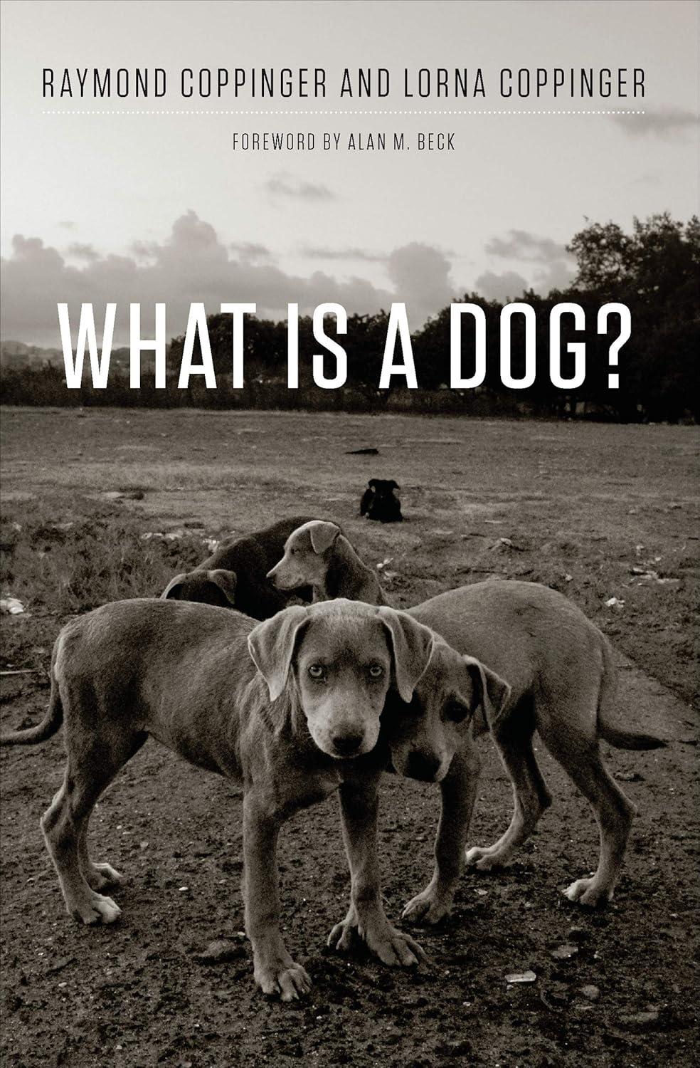 What's a Dog vs. Treats-Compared… Science Confirmed, It's Fun!
