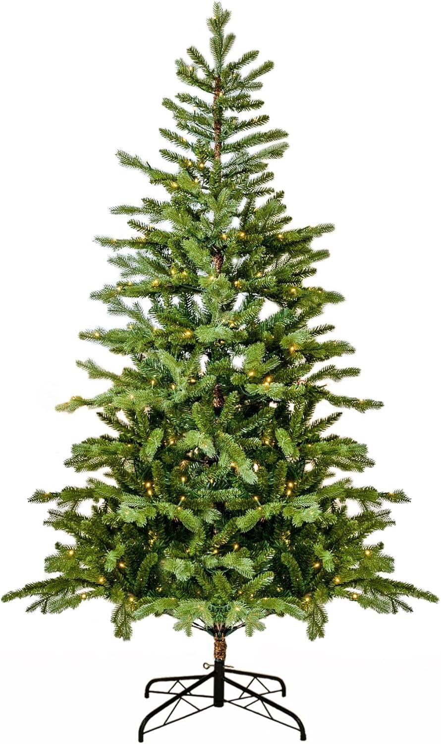 Surprising Christmas Tree Comparison Showdown!