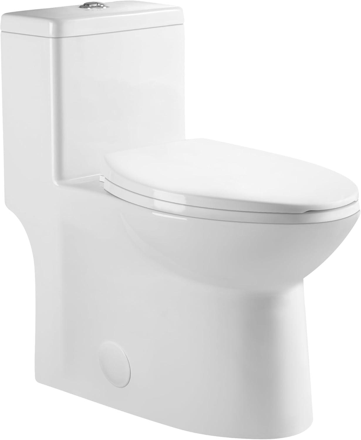 DeerValley Symmetry One-Piece Comfort Height vs. Dual Flush... tested Glow Up Bathroom谁能赢？