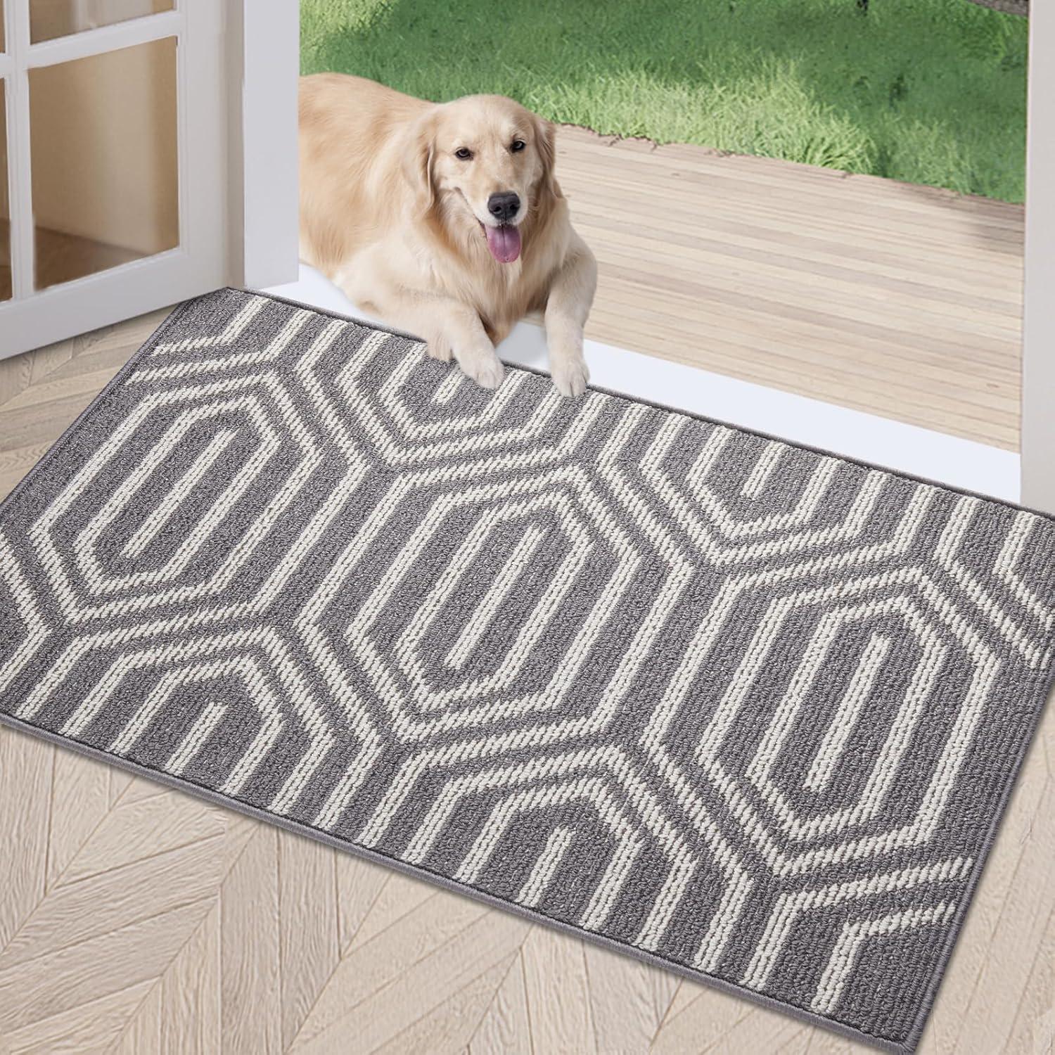 Tested Door Mat: Keeps Floors Spotless in All Weather Conditions