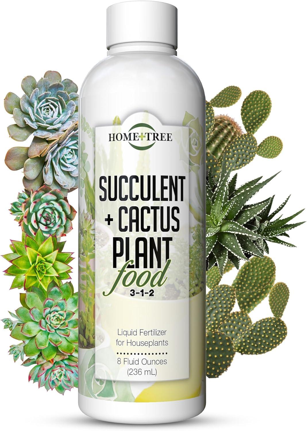 Surprising 9-Month Boost: Tested Christmas Cactus Fertilizer (Succulent Care)