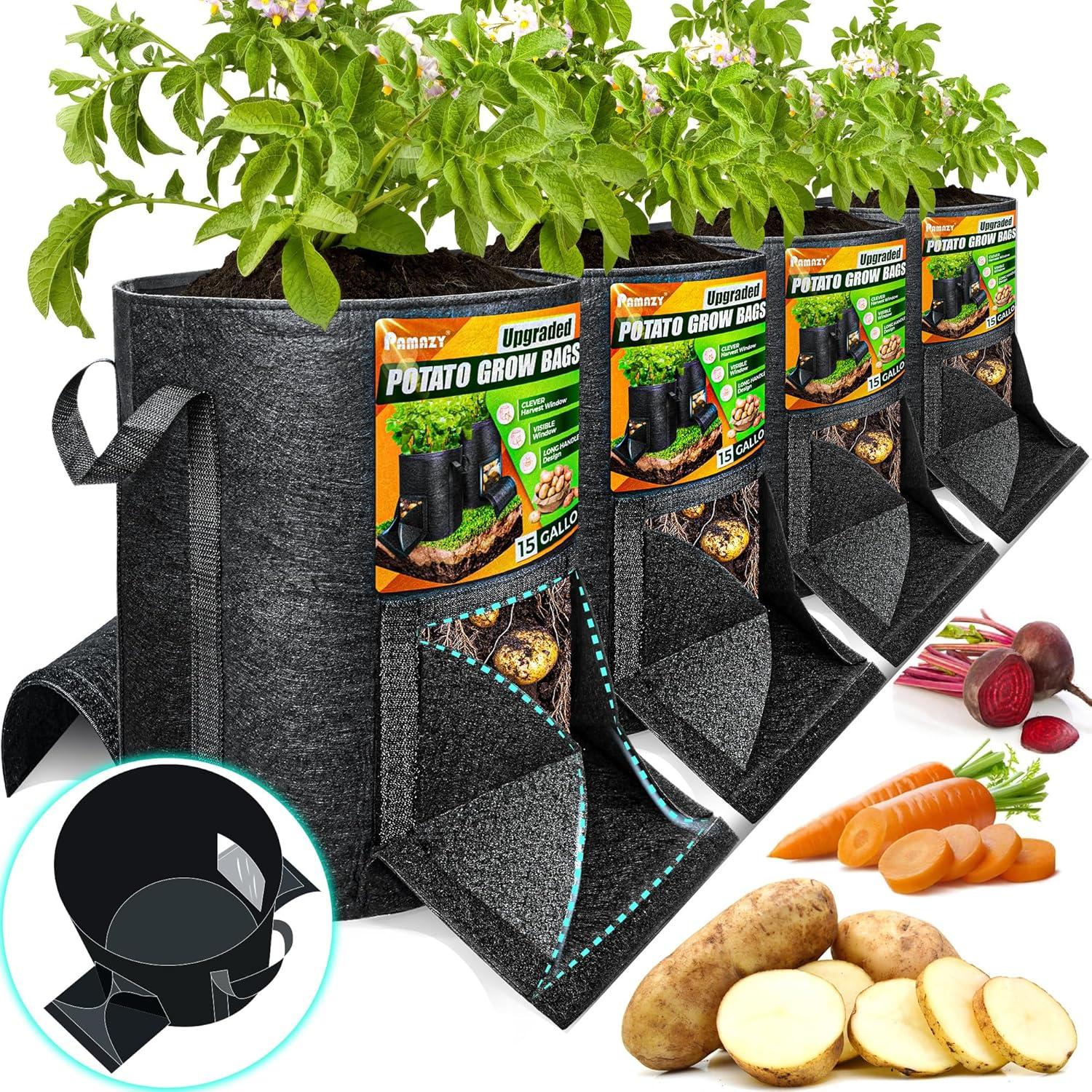 Harvest Window vs Sturdy Handle: 2024's Surprising Growing Container Showdown