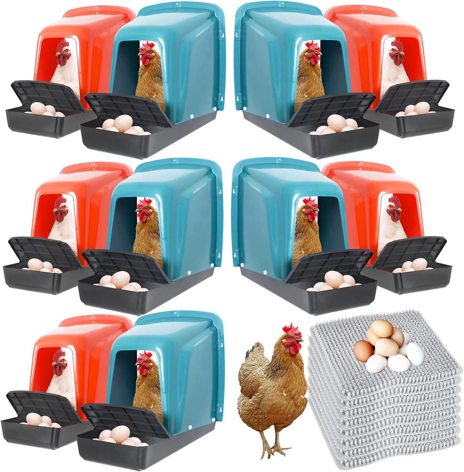 Poultry Supplies Showdown: Perch vs. Roll-Out Design for Laying Eggs