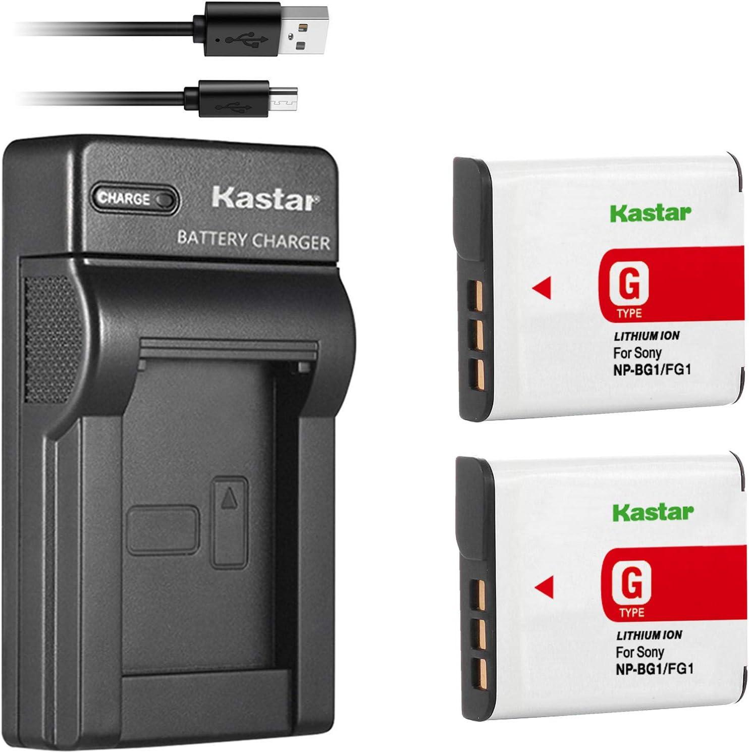 Best Sony Camera Battery - Kastar NP-BG1 FG1 Charger