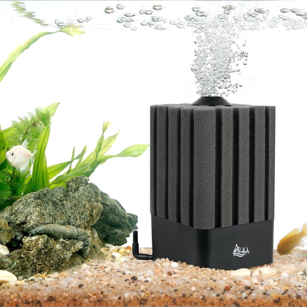 Best Aquarium Filter – AQQA Aquarium Sponge Filter Review