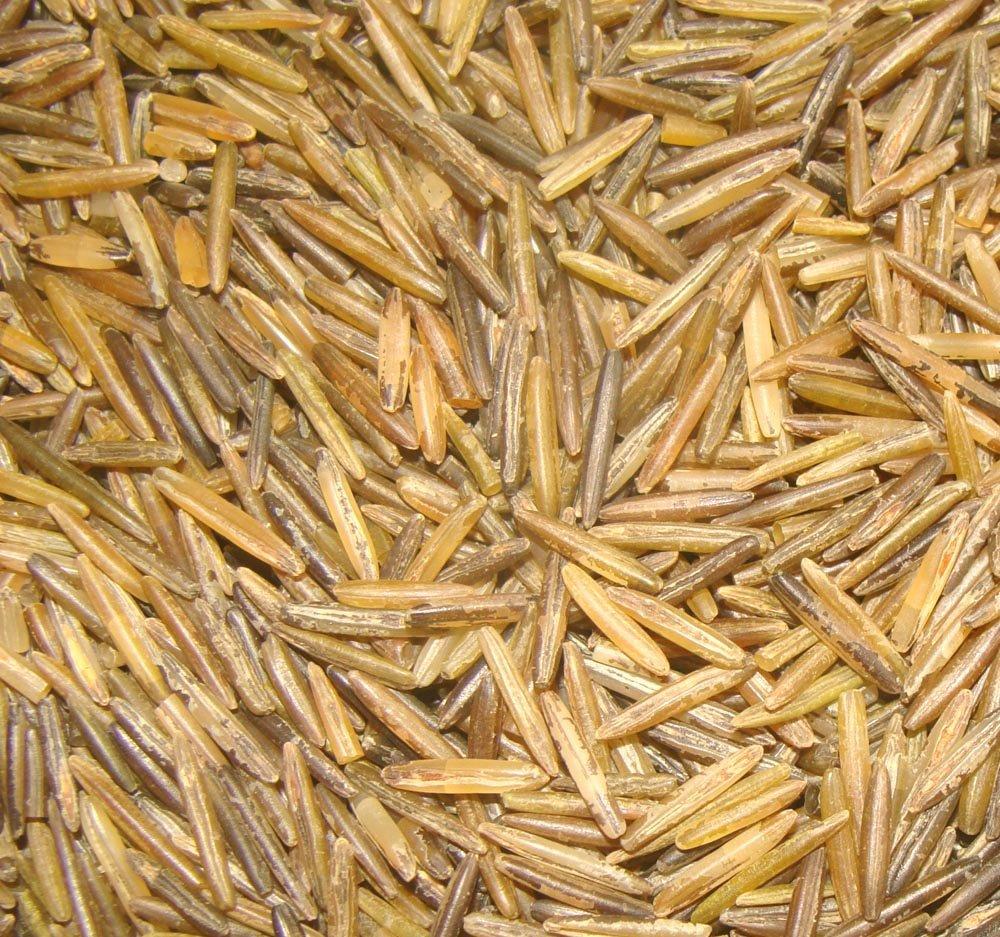 Best Food & Supplements – BINESHII GHOST WILD RICE, THE RAREST AND FINEST WILD RICE IN THE WORLD! Review