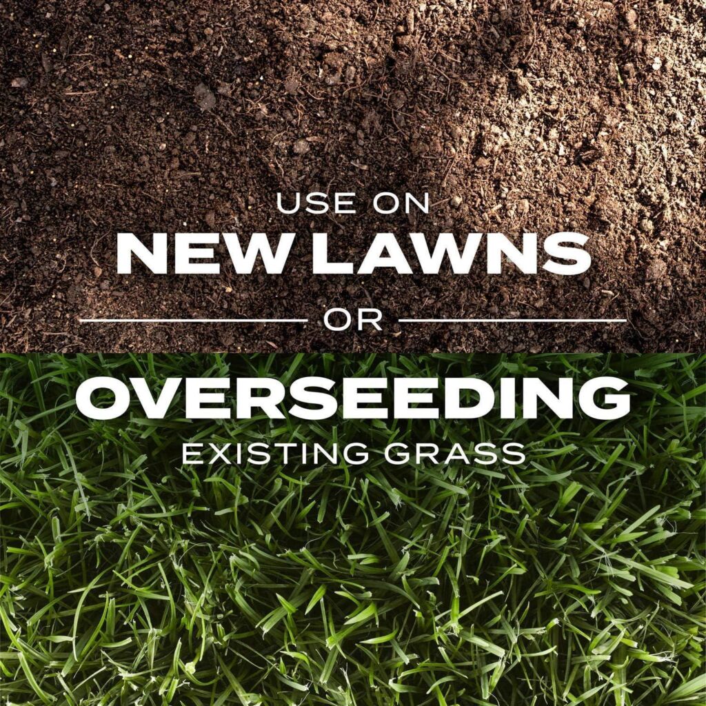 Best Lawn Care – Scotts Turf Builder Rapid Grass Sun and Shade Review