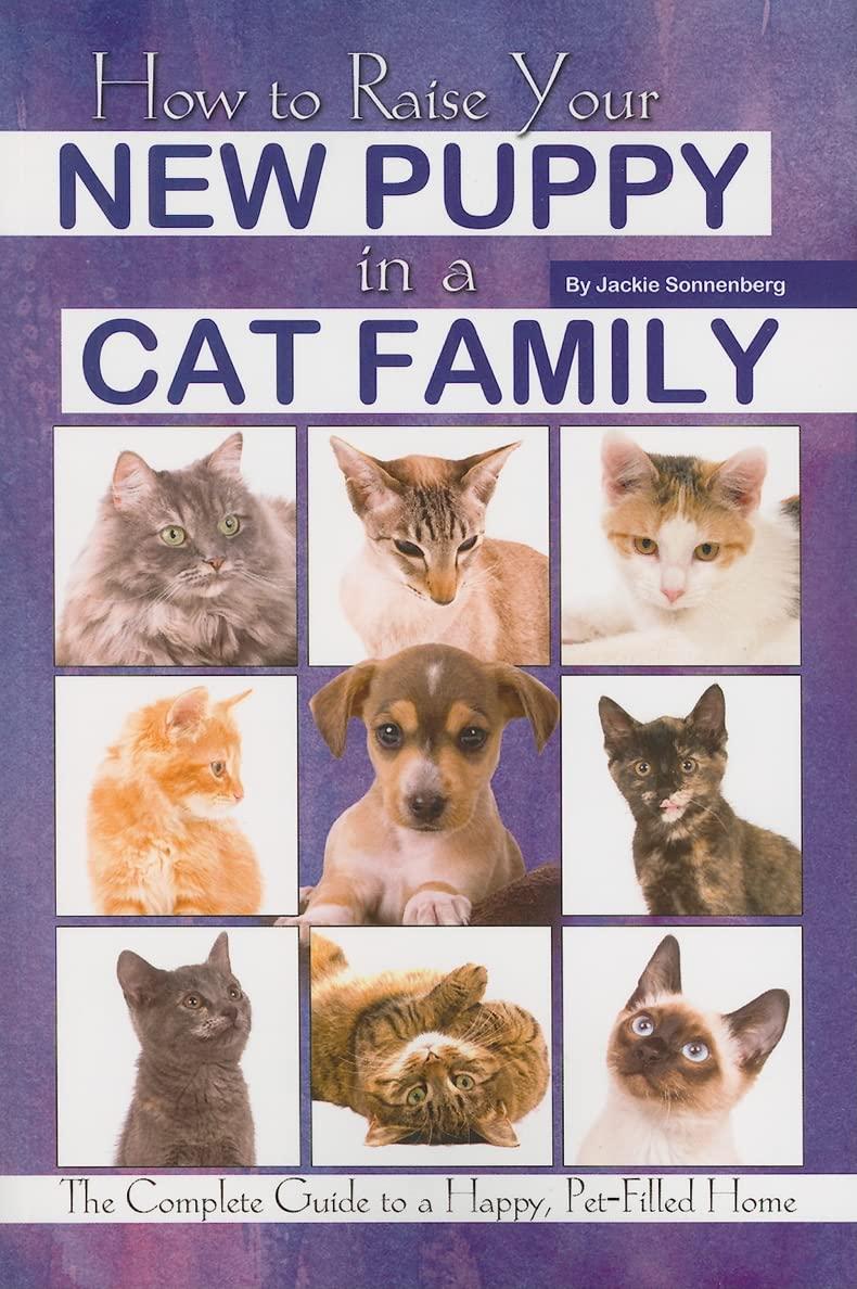 Budget vs. Bond vs. Pets: Surprising insight showdown