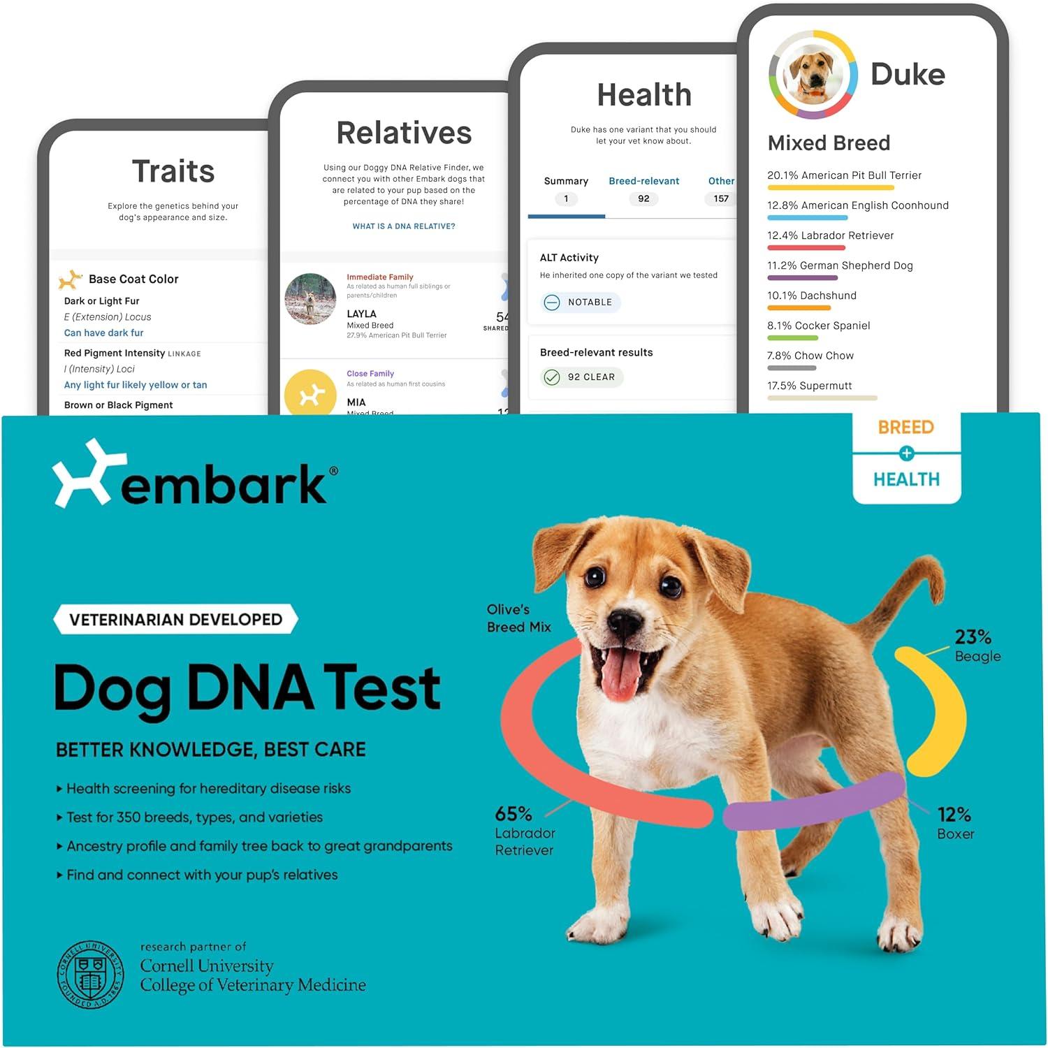 Ancestry Tested: DNA Unlocks Surprising Family Insights