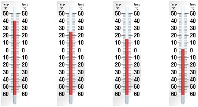 Best Meat Thermometer to Prevent Dry Meat and Cook Perfect Steaks