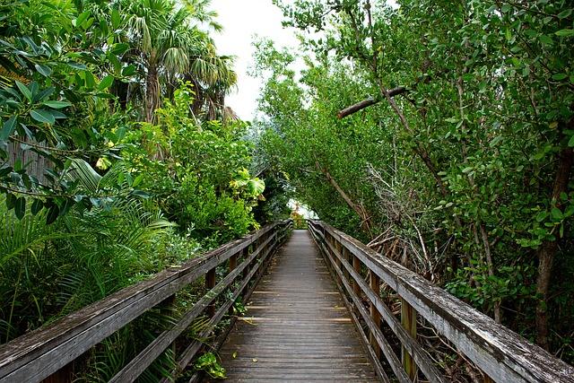 The Best Keys in Florida: Unlock Your Next Florida Keys Getaway!