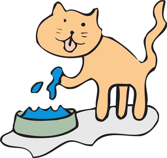 Best Water Fountain for Cats: Top Choices to Encourage Daily Hydration