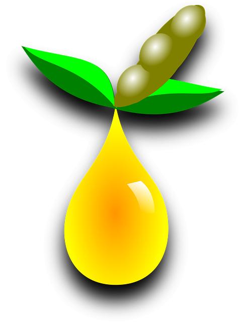 Best Black Seed Oil Really Helps? We Tested It!