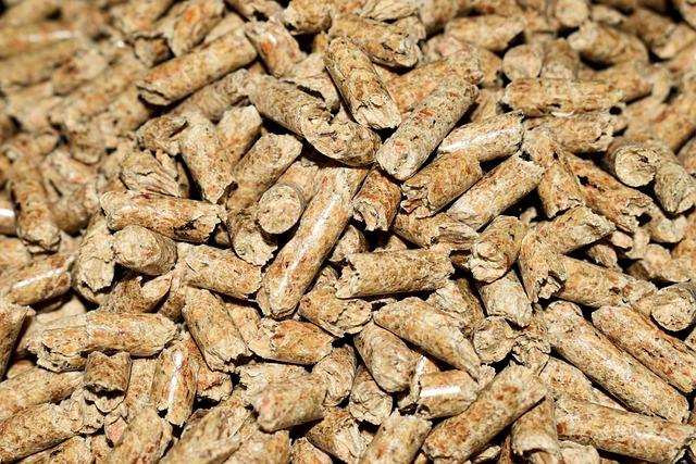 The Best Pellet Stove?: Find One That’s Budget-Friendly and Saves You Money!