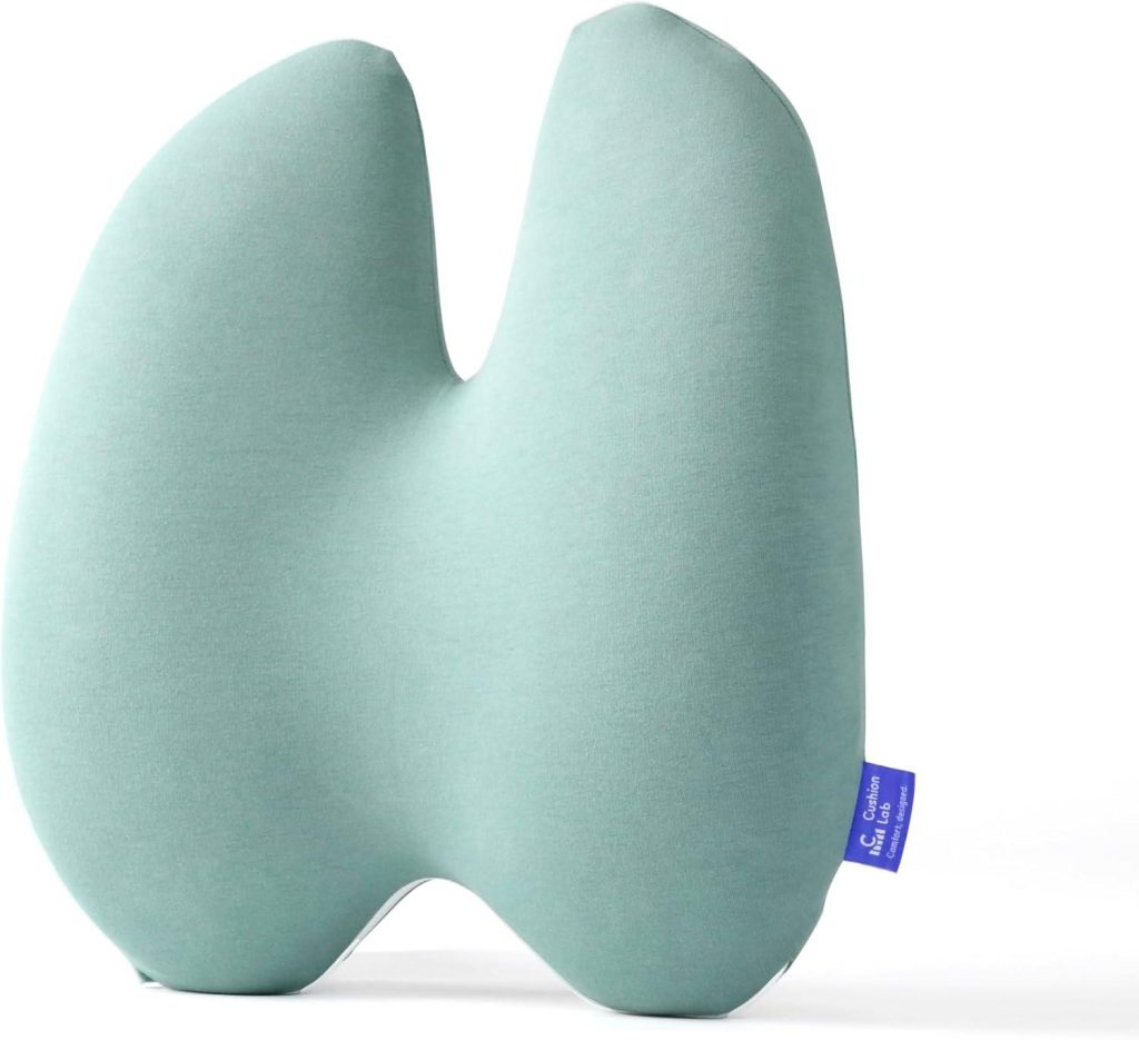 Best Lumbar Support – C CUSHION LAB Extra Dense Pillow Review
