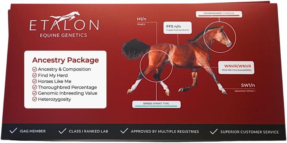Best Equine DNA Test – Etalon Diagnostics Equine Genetic Ancestry Review