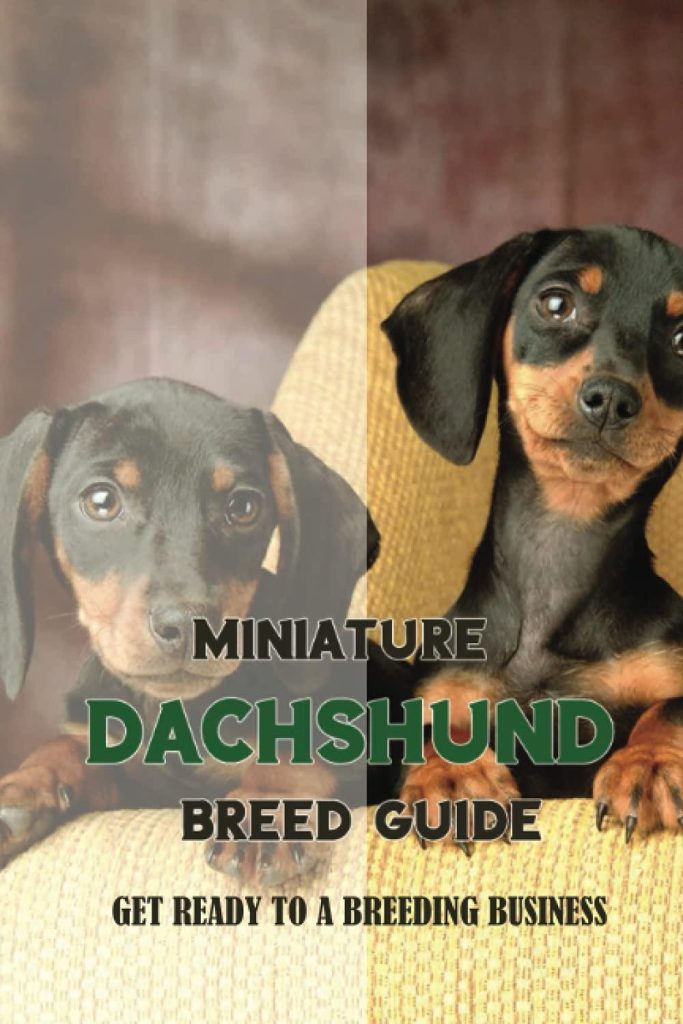 Best Pet Care – Miniature Dachshund Breed Guide Review