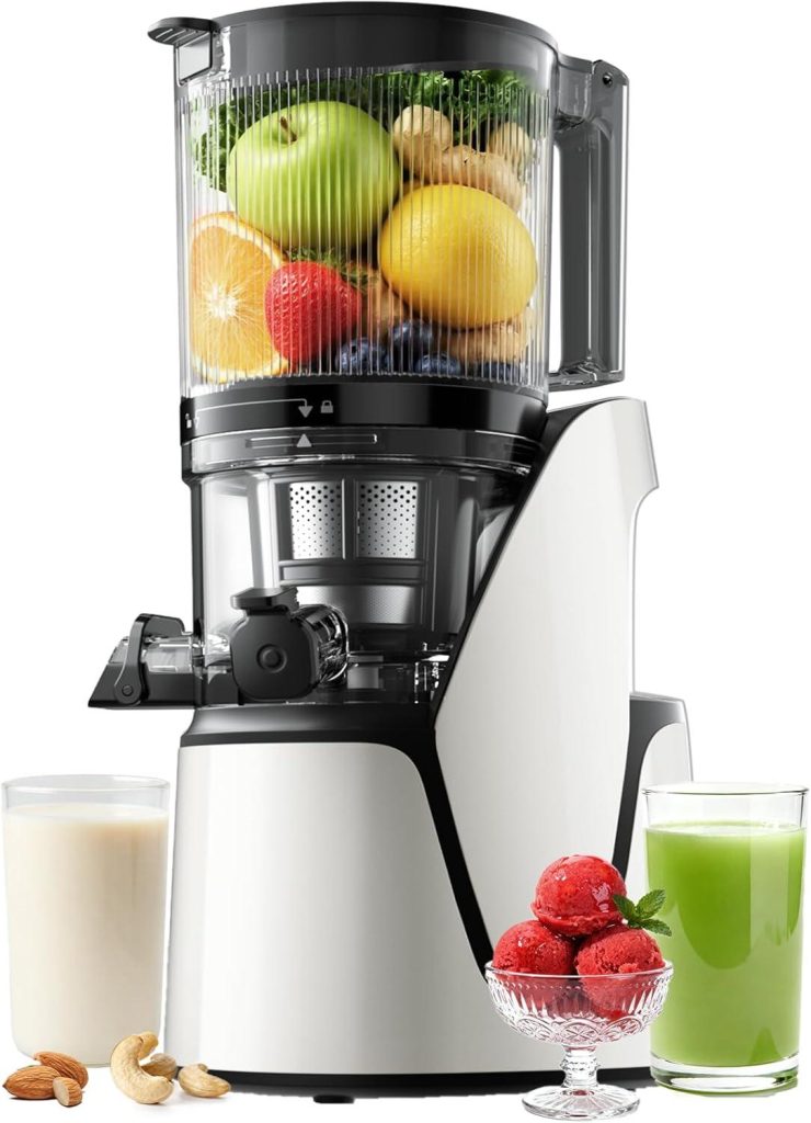 Best Juicer – EanOruus Juicer Machines 3-in-1 Cold Press Review