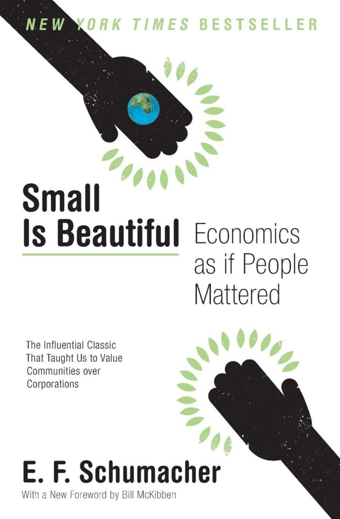 Best Book – Small Is Beautiful: Economics as if People Mattered Review