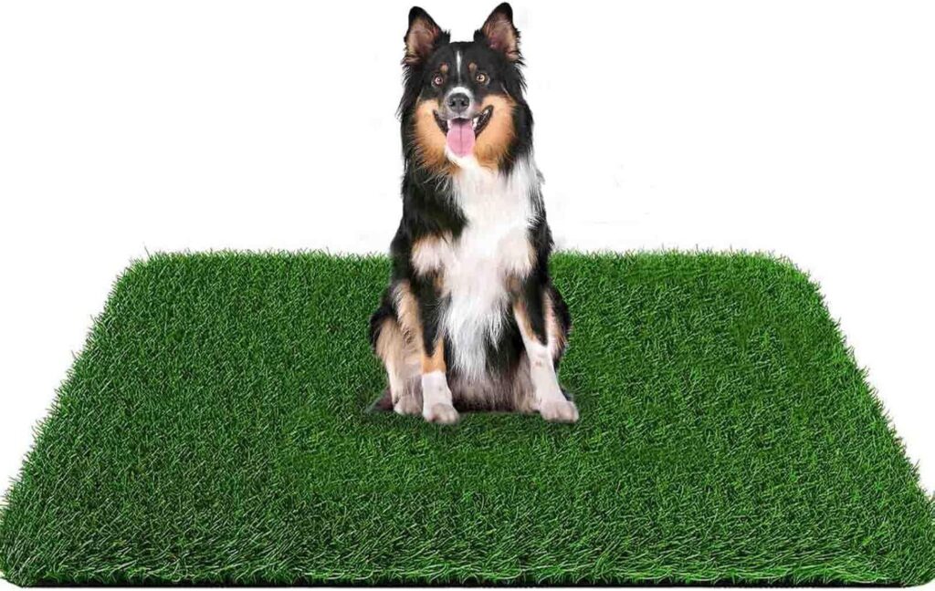 Best Dog Grass Pad – 59.1 x 39.4 inches, Easy to Clean Review
