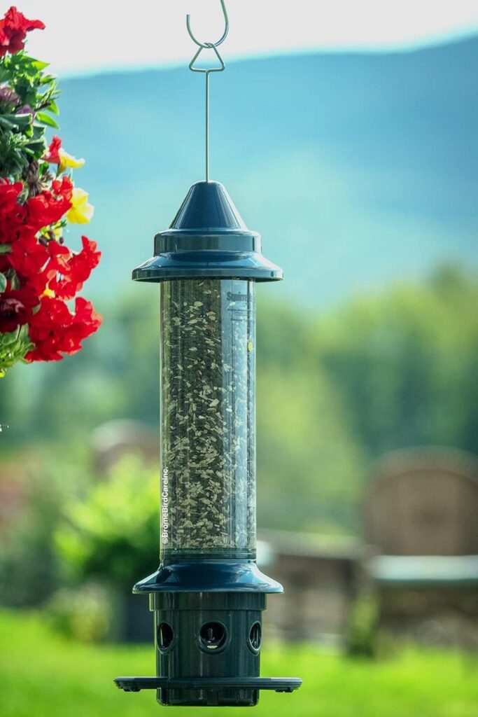 Best Bird Feeder – Squirrel Buster Plus Squirrel-proof Feeder Review