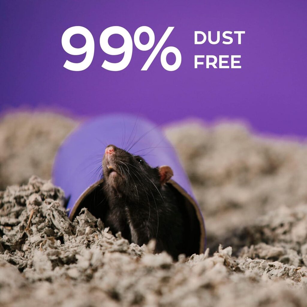 Best Small Pet Bedding – Carefresh 99% Dust-Free Bedding Review