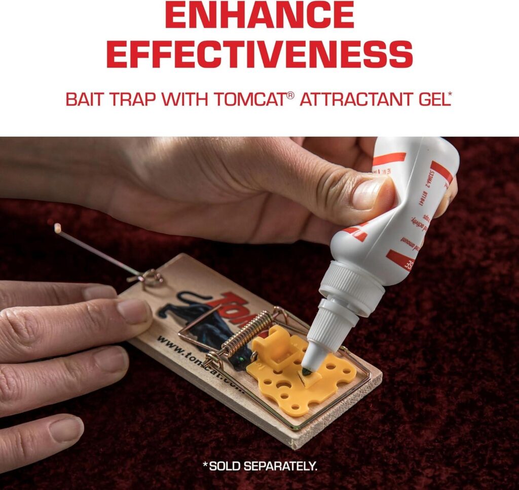 Best Mouse Trap – Tomcat Wooden Traps – 4 Pack Review