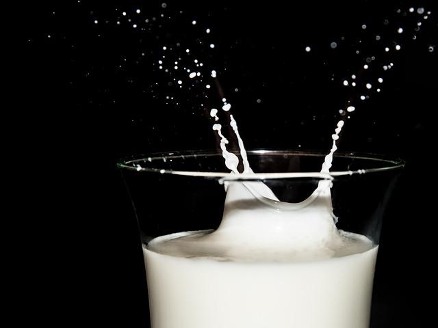 Best Hand Blender – Efficient High-Speed Blending Review