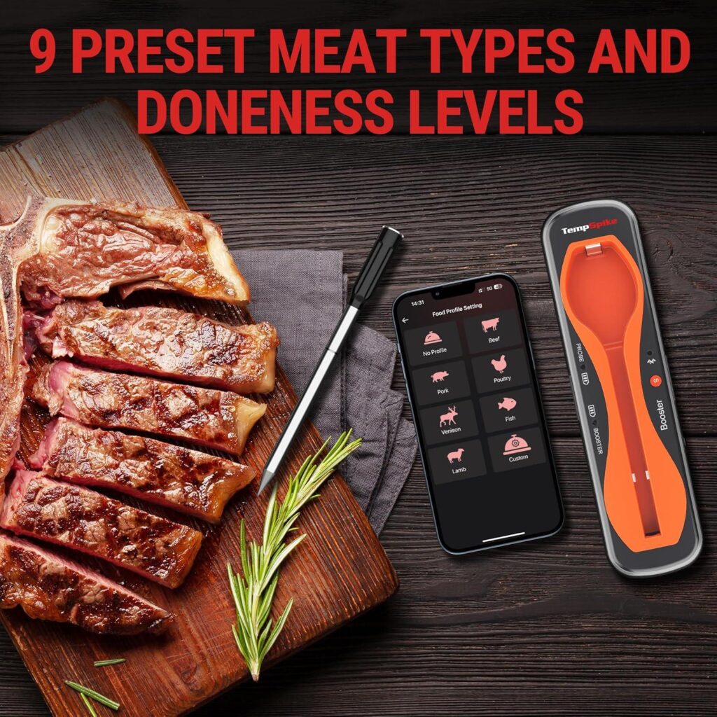 Best Wireless Meat Thermometer – ThermoPro TempSpike Review