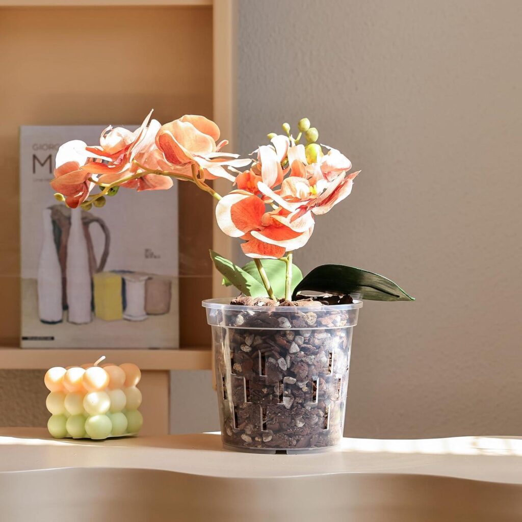 Best Orchid Pots – TRUEDAYS Orchid Pot – 4 Pack 5 Inch Clear Orchid Pots Review