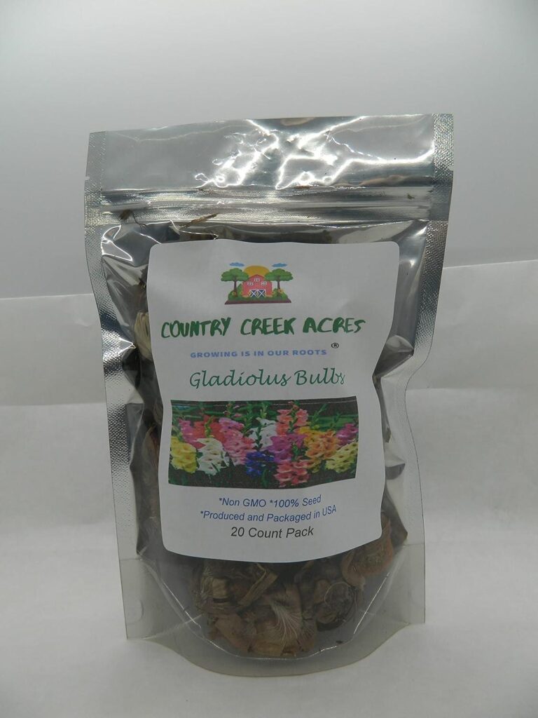 Best Flower Bulbs – GLADIOLUS, BULB (20 PACK) PASTEL MIXED Review