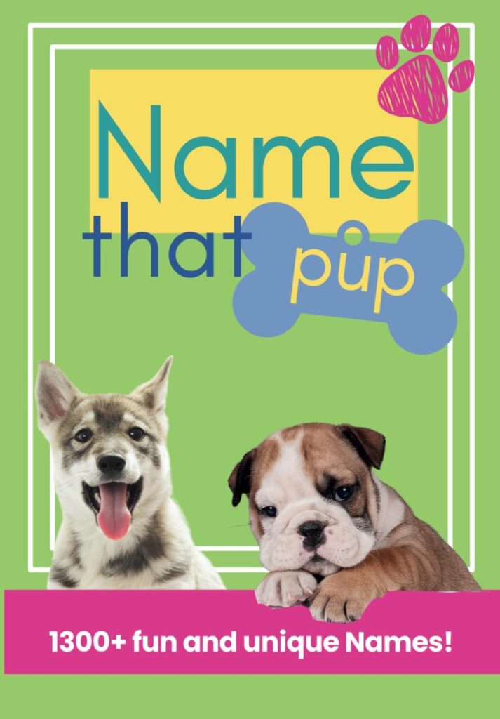Best Dog Names – Name that Pup! Dog Names: Creative Review