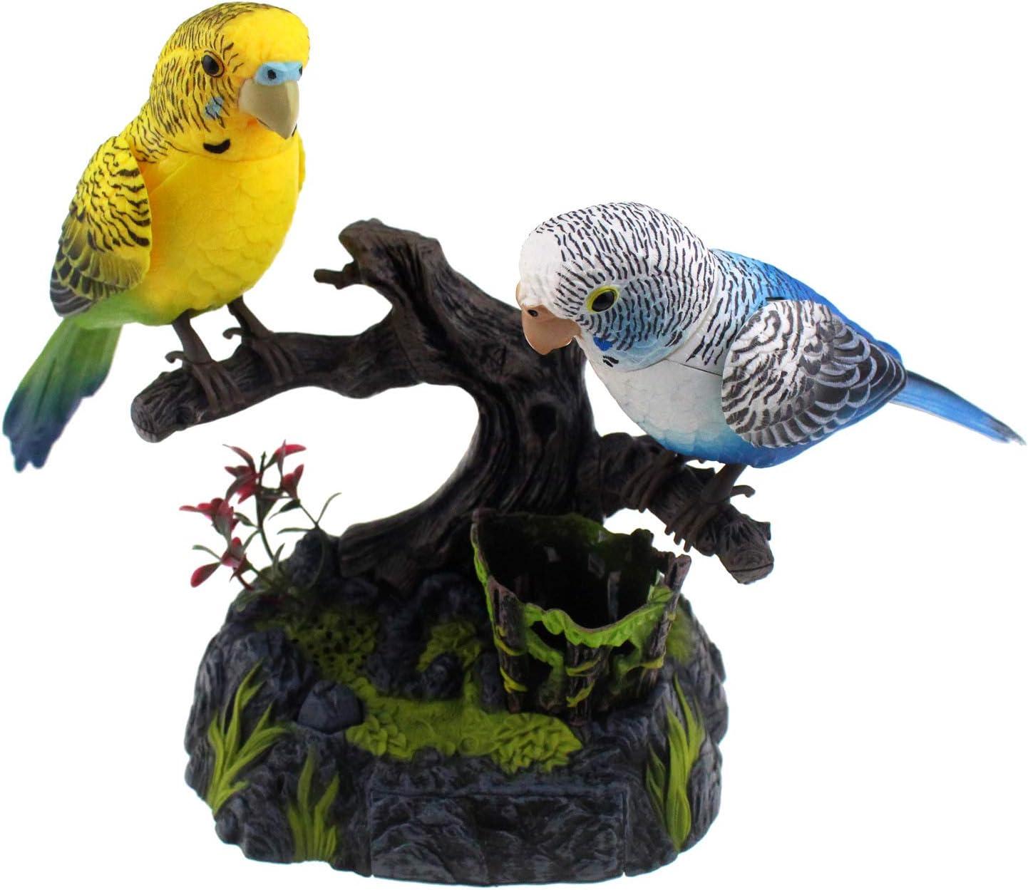 Parrot Versus Pet: Tested Home Insights ... Decor Showcase