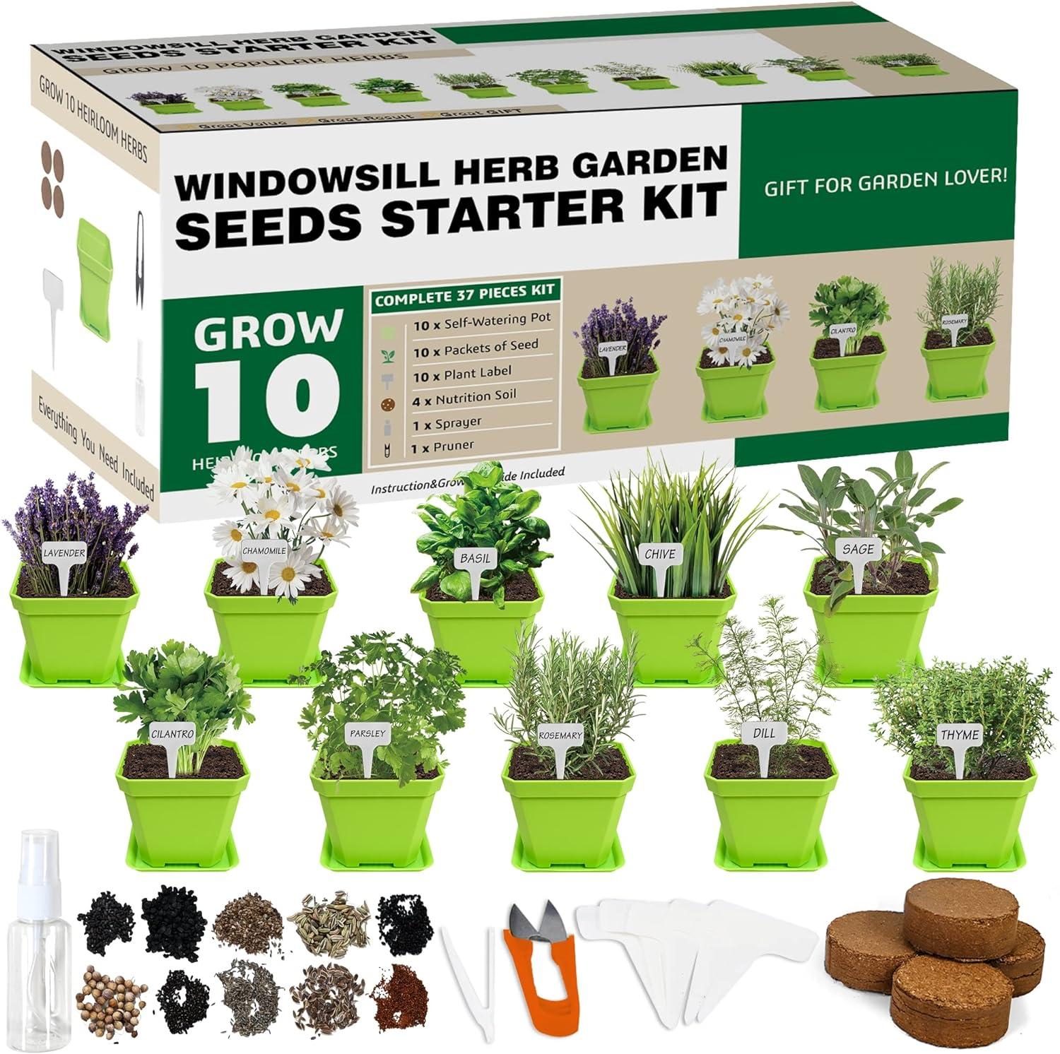10-Kit Herb Garden Compared: Grow Kit's Surprising Ease
