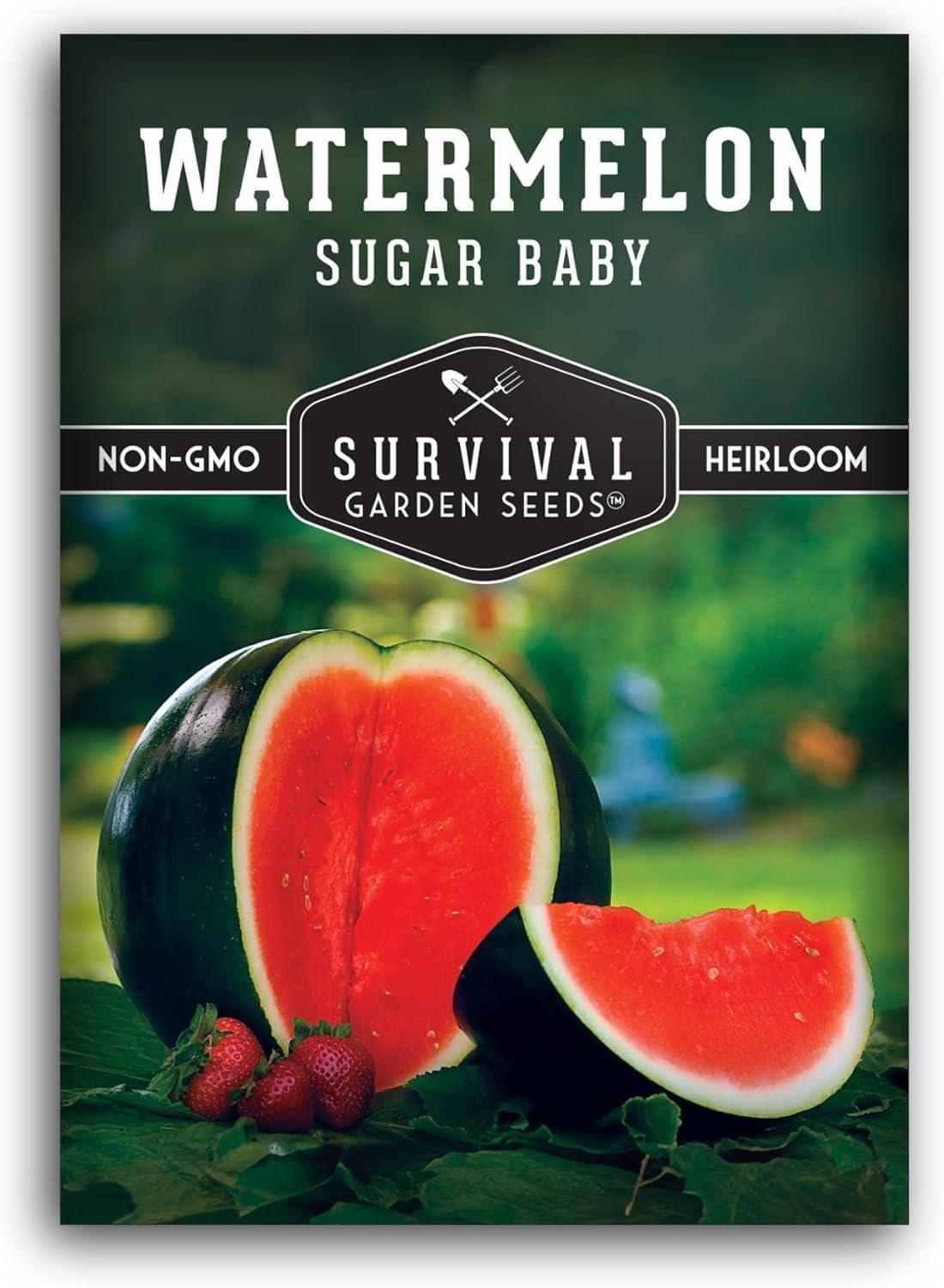 Tested Sugar Baby Watermelon: Home vs Garden Seed Packets, Heirloom Insight