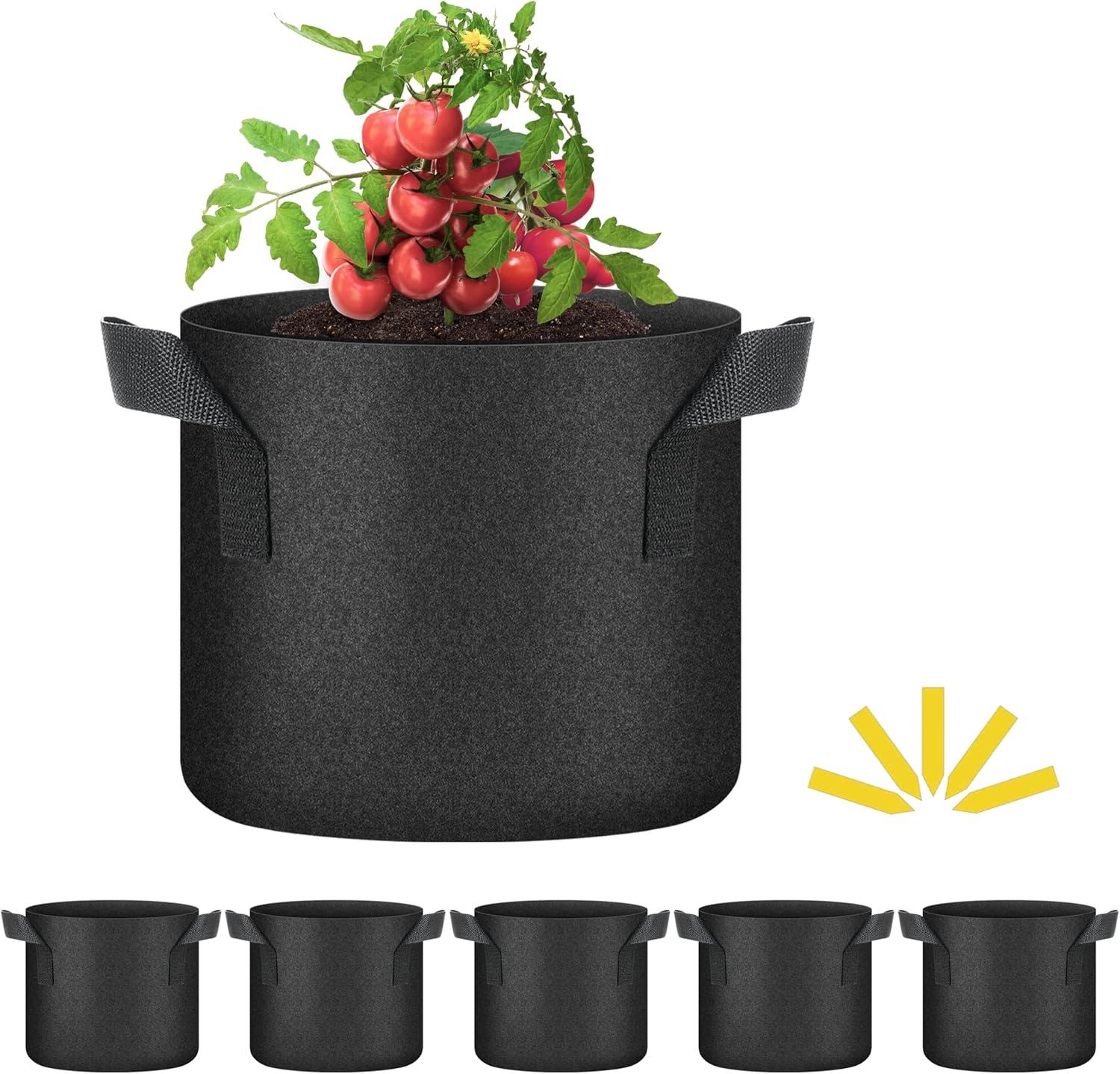 Surprising Potato Growth: Biodegradable Bags Tested for Vegetables…