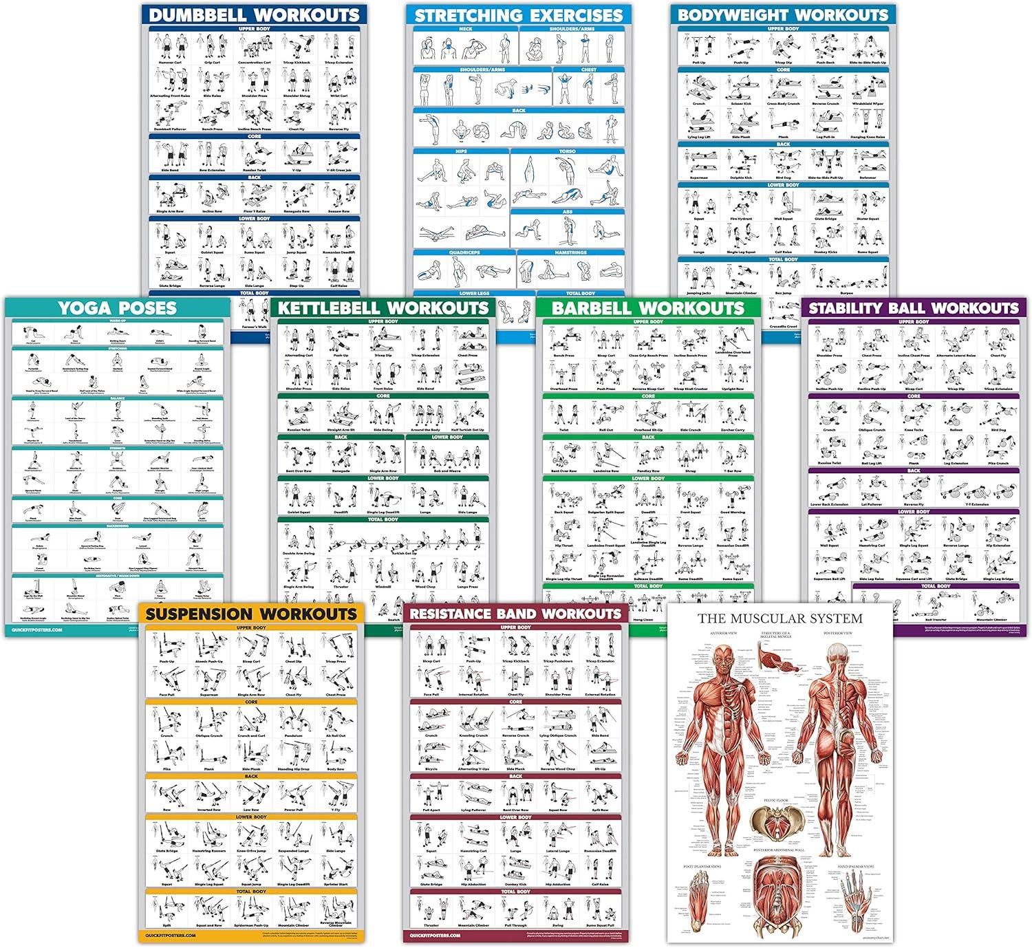 Workout Poster Showdown: Tested Gear, Full Range $40