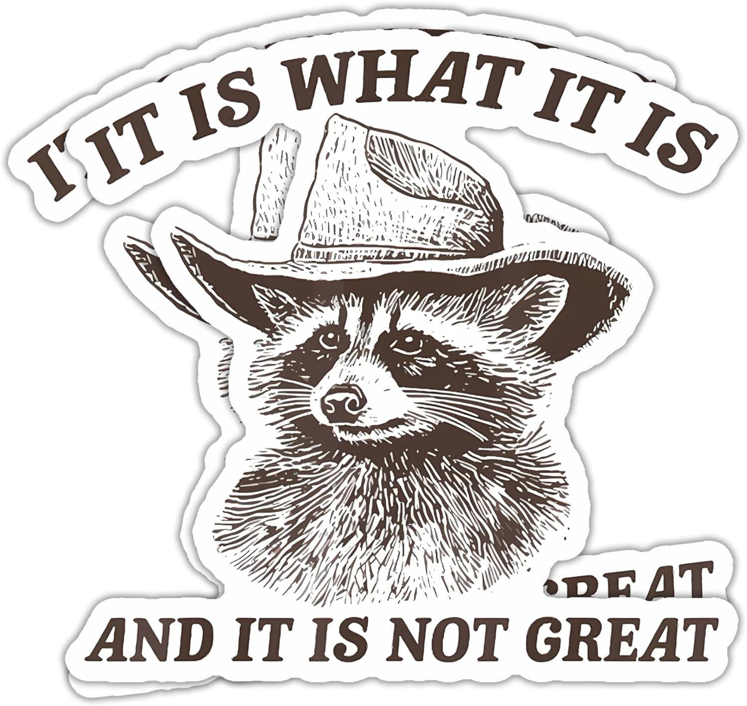 Funny Raccoon Sticker Versus Tested Memo For Car Windows... Memes In Action (2-Pack)