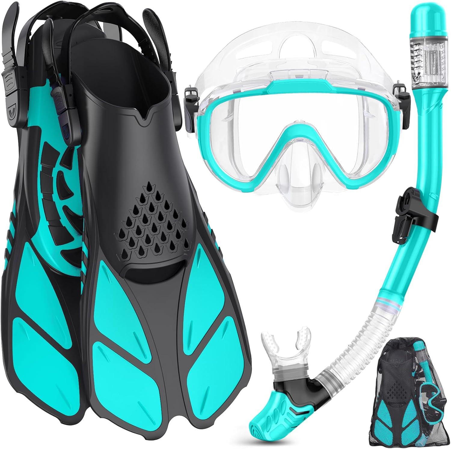 Showdown: Panoramic Mask... Dry Top Snorkel, Fins & Travel Bag for Snorkeling Gear Tested