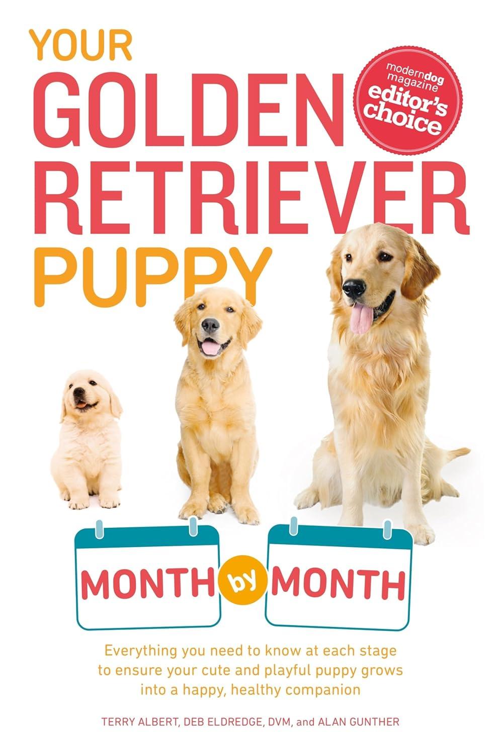 Golden Retriever Guide Tested: Surprising Monthly Insights vs. General Tips (Puppy Care Showdown)